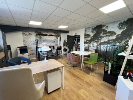 Photo 11 – vente Entrepôts / activités	LE BARP (33114)