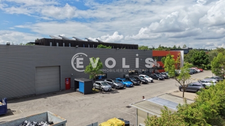 Photo 3 – location Entrepôts / activités	SAINT PRIEST (69800)