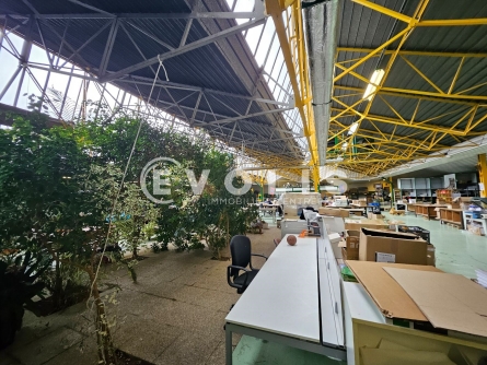 Photo 4 – location Entrepôts / activités	BAGNEUX (92220)