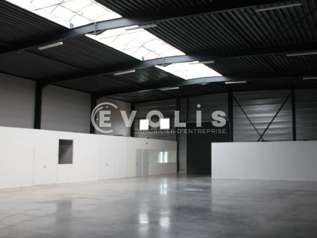 Photo 7 – location Entrepôts / activités	RONCQ (59223)
