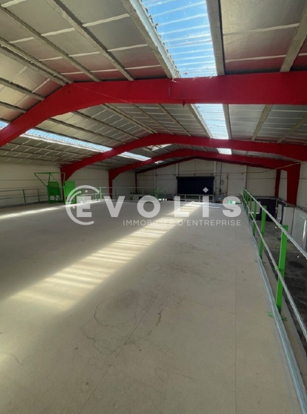 Photo 4 – location Entrepôts / activités	MARCQ EN BAROEUL (59700)