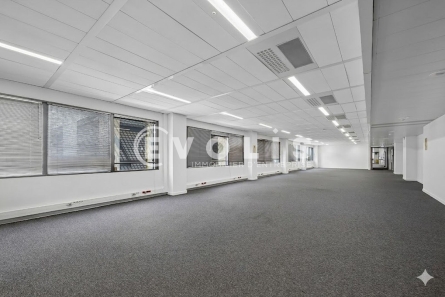 Photo 11 – location bureaux	LE KREMLIN BICETRE (94270)
