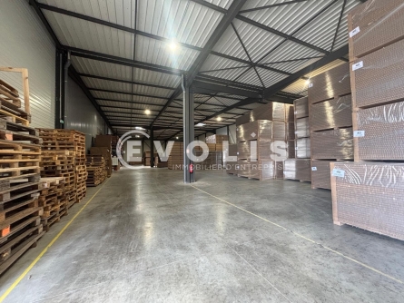 Photo 6 – vente Entrepôts / activités	FAREINS (01480)