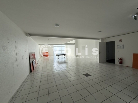 Photo 4 – location Entrepôts / activités	GRENOBLE (38100)