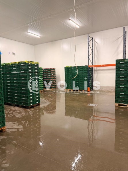 Photo 5 – vente Entrepôts / activités	VERQUIERES (13670)
