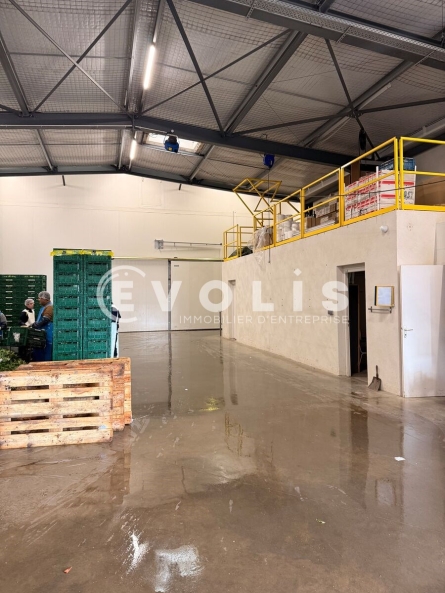 Photo 6 – vente Entrepôts / activités	VERQUIERES (13670)