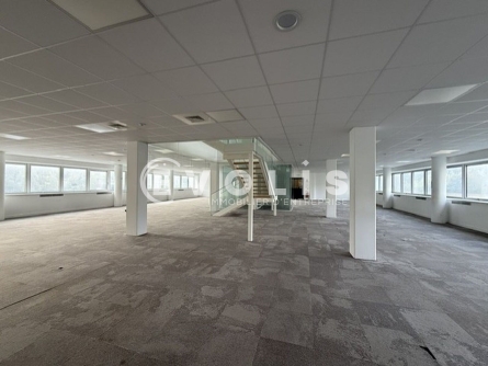 Photo 3 – location bureaux	SAINT MARTIN LE VINOUX (38950)