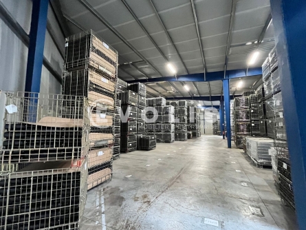 Photo 6 – location Entrepôts / activités	AMBARES ET LAGRAVE (33440)