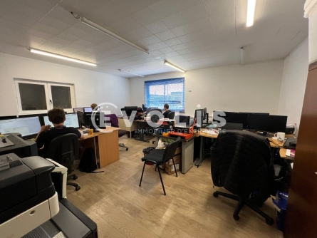 Photo 14 – location Entrepôts / activités	VAULX EN VELIN (69120)