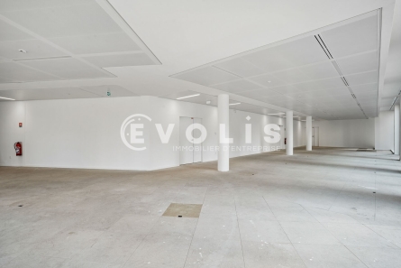Photo 14 – location Entrepôts / activités	MALAKOFF (92240)