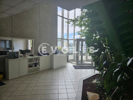 Photo 6 – location Entrepôts / activités	CHAMPLAN (91160)