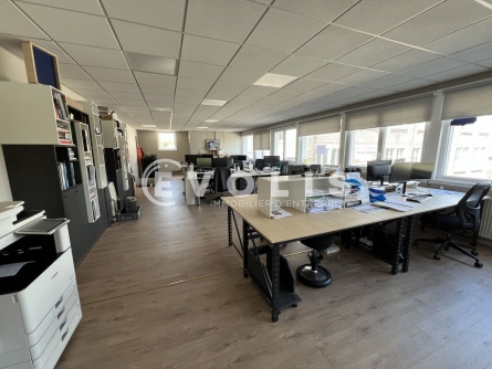 Photo 6 – vente Entrepôts / activités	WERVICQ SUD (59117)