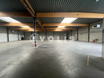 Photo 11 – location Entrepôts / activités	BONDUES (59910)