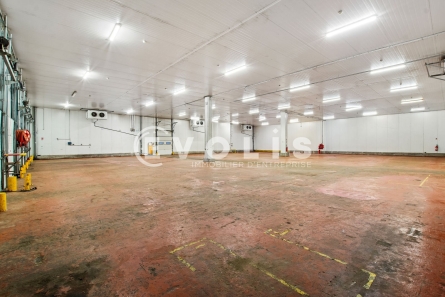 Photo 5 – location Entrepôts / activités	THIAIS (94320)