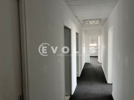 Photo 12 – location Entrepôts / activités	DECINES CHARPIEU (69150)