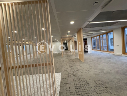 Photo 11 – location bureaux	LEZENNES (59260)