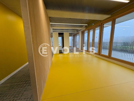 Photo 12 – location bureaux	LEZENNES (59260)