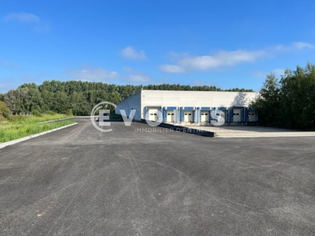 Photo 2 – vente Entrepôts / activités	HALLUIN (59250)