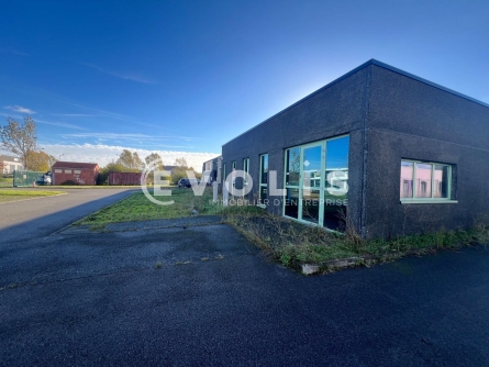 Photo 4 – location Entrepôts / activités	COMINES (59560)