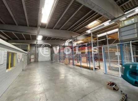 Photo 3 – location Entrepôts / activités	TEMPLEMARS (59175)
